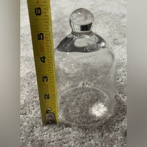 Clear Glass Cloche Dome